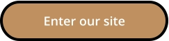 Enter our site